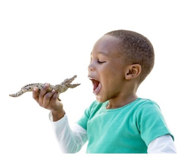RWSO Crocodile - Image 6