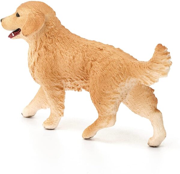 Golden Retriever, Female - Image 3