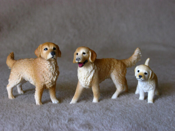 Golden Retriever Puppy - Image 4
