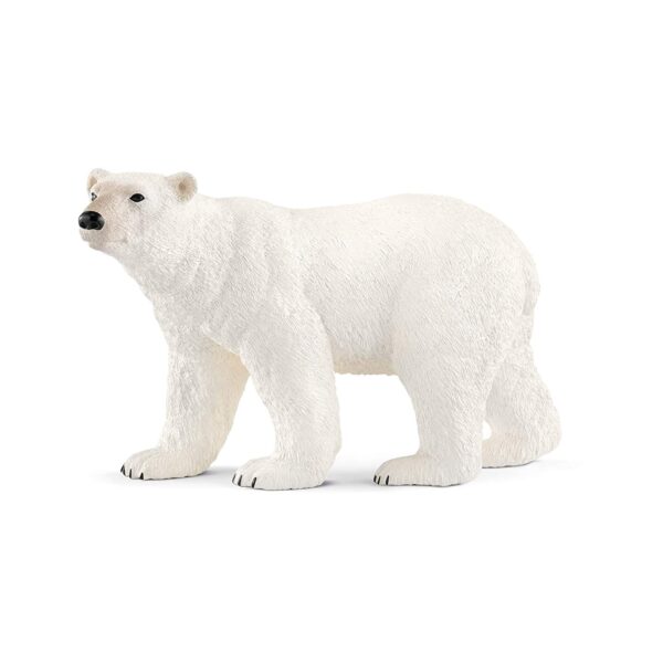 RWSO Polar Bear
