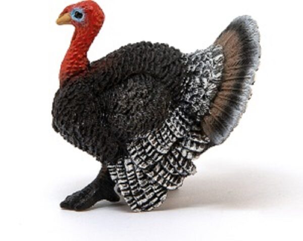 Turkey Tom - Image 3