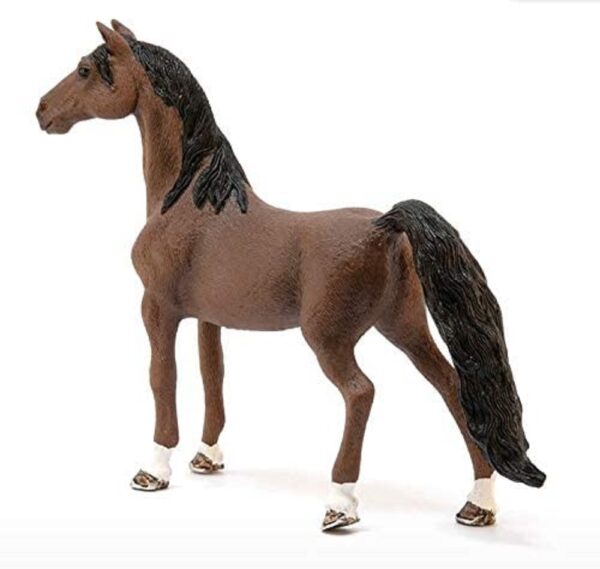 American Saddlebred Gelding - Image 2