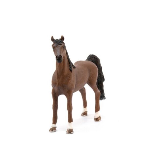 American Saddlebred Gelding - Image 3