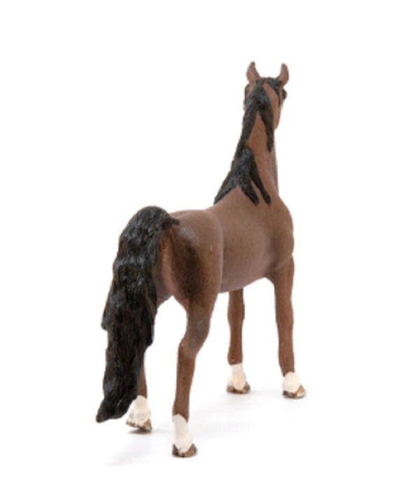 American Saddlebred Gelding - Image 4