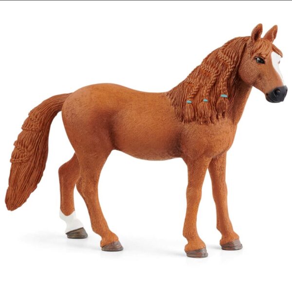 German Riding Pony Mare