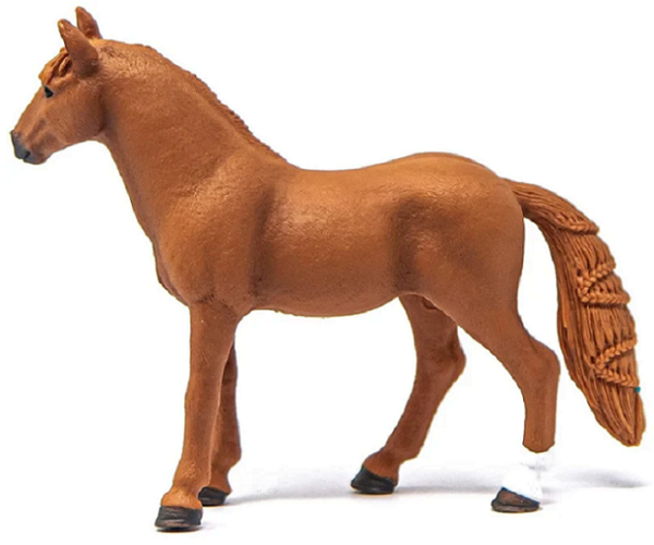 German Riding Pony Mare - Image 2