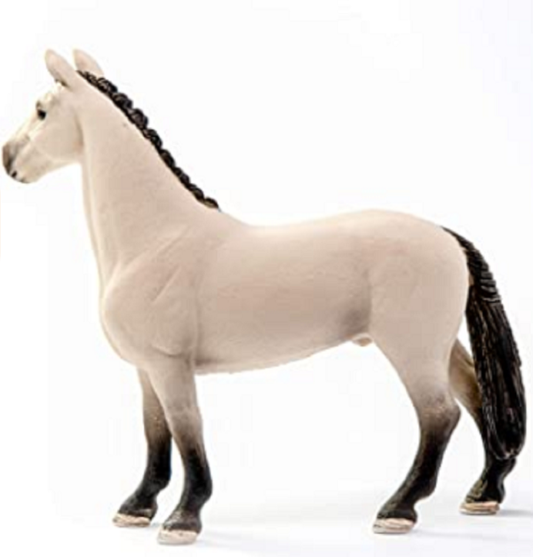 Hannoverian Gelding, Red Dun - Image 2