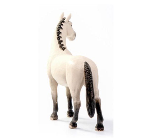 Hannoverian Gelding, Red Dun - Image 3