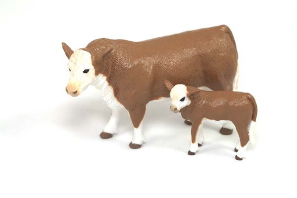 Hereford Cow & Calf
