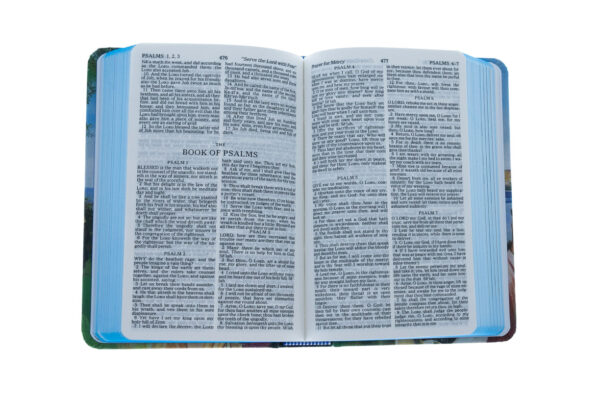 KJV Bible Seaside Hardcover - Image 2