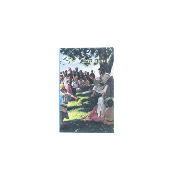 KJV Economy New Testament with Psalms - (Seaside) - Image 2