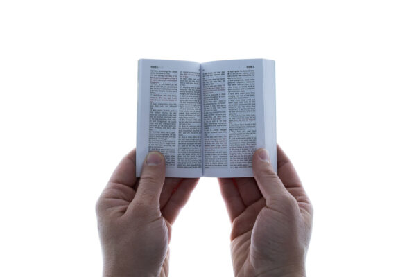 KJV Economy New Testament with Psalms - (Seaside) - Image 3