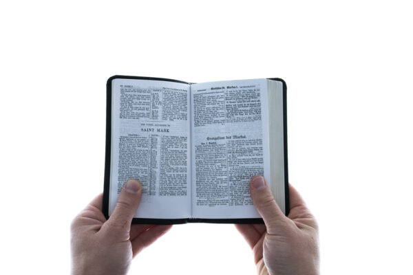 New Testament German/English - Image 2