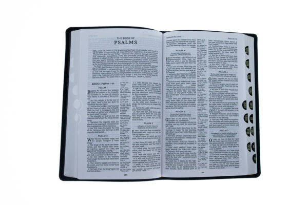 KJV, Thinline Reference Bible, Bonded Leather, Black, Indexed, Red - Image 3