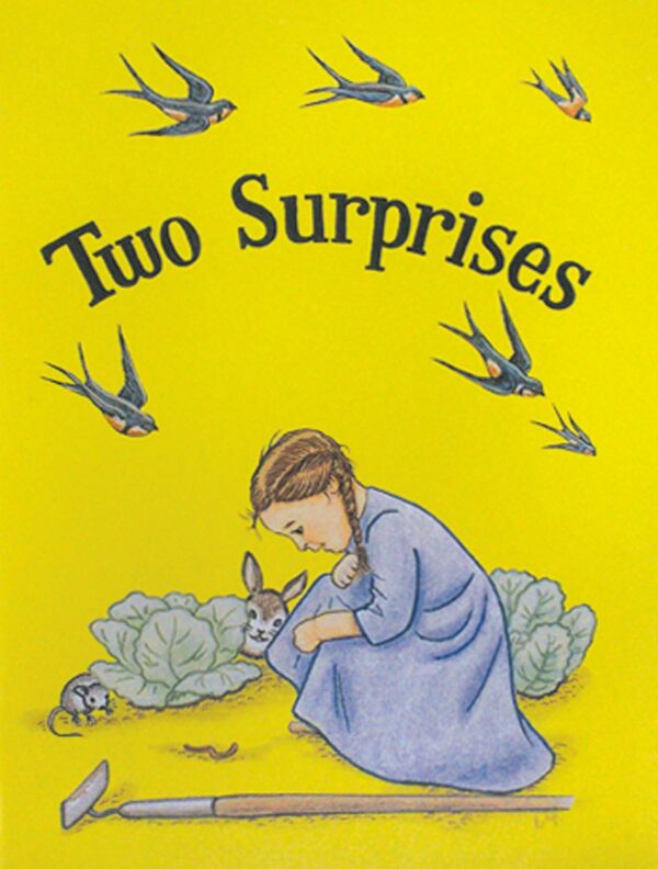 Two Surprises - Jewel Book