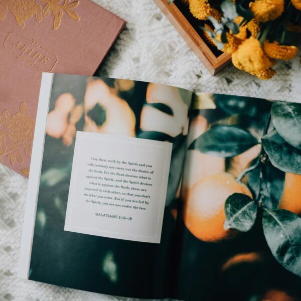 Bible Highlighting Guide - Image 2