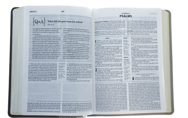 KJV Cross Reference Study Bible [Stone] - Image 4