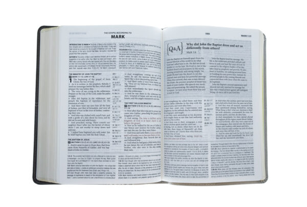 KJV Cross Reference Study Bible [Stone] - Image 6