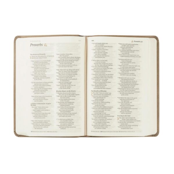 NLT Compact Bible: Marlo Theme - Image 5