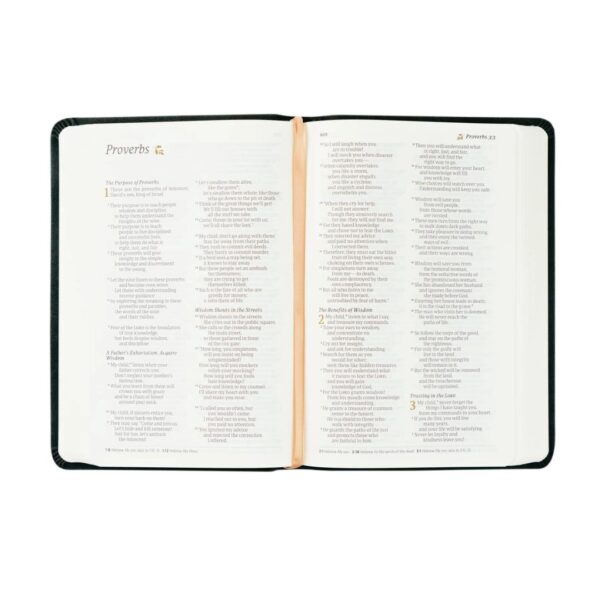 NLT Compact Bible: Aurora Theme - Image 5
