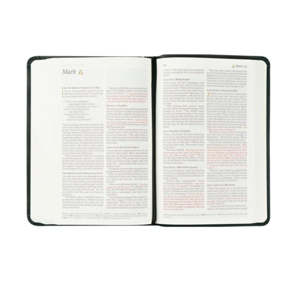 NLT Compact Bible: Aurora Theme - Image 6