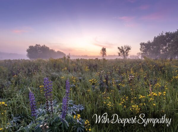 Boxed Sympathy Cards - Peaceful Moments - Image 2