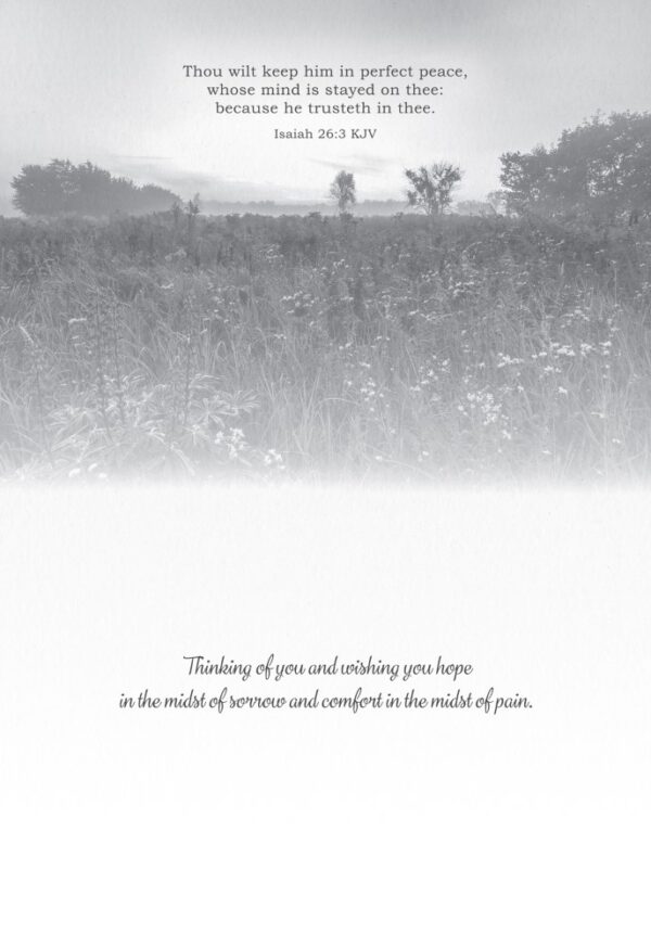 Boxed Sympathy Cards - Peaceful Moments - Image 3