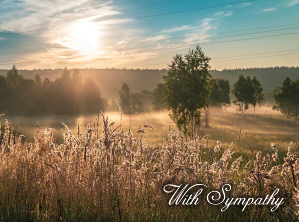 Boxed Sympathy Cards - Peaceful Moments - Image 6