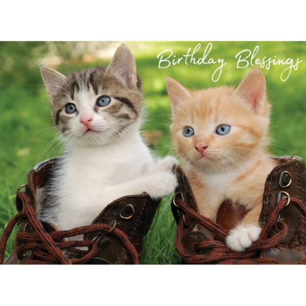 Boxed Birthday Cards - Vintage Blessings - Image 2