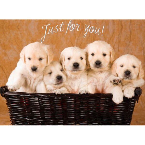 Boxed Birthday Cards - Vintage Blessings - Image 5