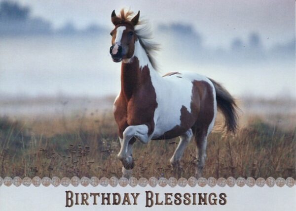 Boxed Birthday Cards - Peaceful Meadows - Image 2