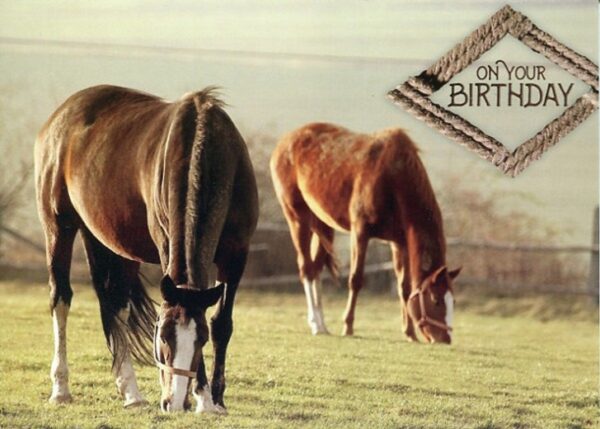 Boxed Birthday Cards - Peaceful Meadows - Image 3