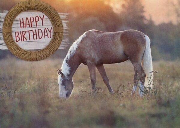 Boxed Birthday Cards - Peaceful Meadows - Image 5