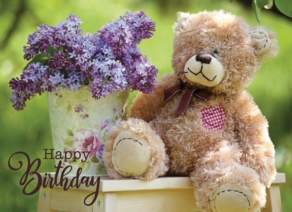 Teddy Bears Birthday - Boxed Greeting Cards - Image 2