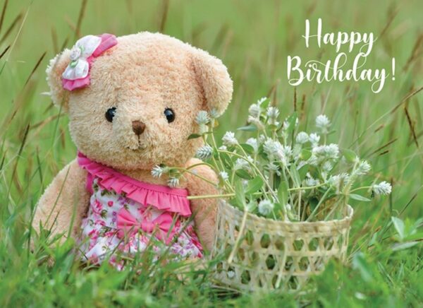 Teddy Bears Birthday - Boxed Greeting Cards - Image 3
