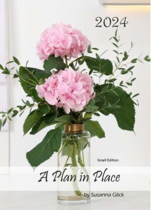 Image of A Plan in Place 2024 – Mini