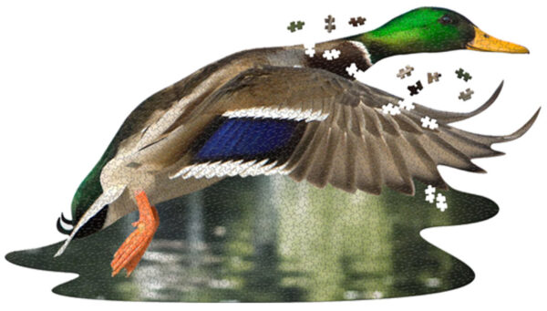 I AM Duck - Madd Capp 1000 Pc Shaped  Puzzle