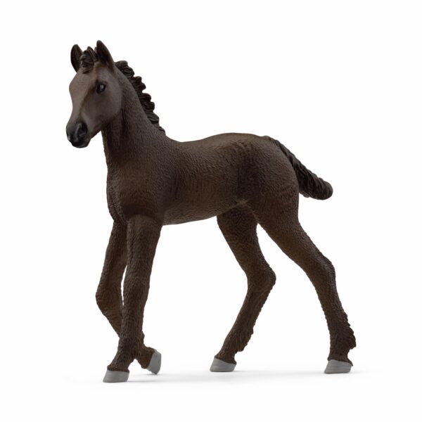 Fresian Foal