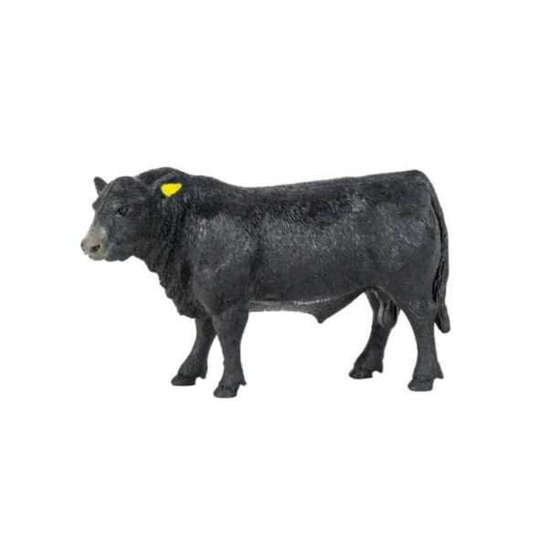 Angus Bull