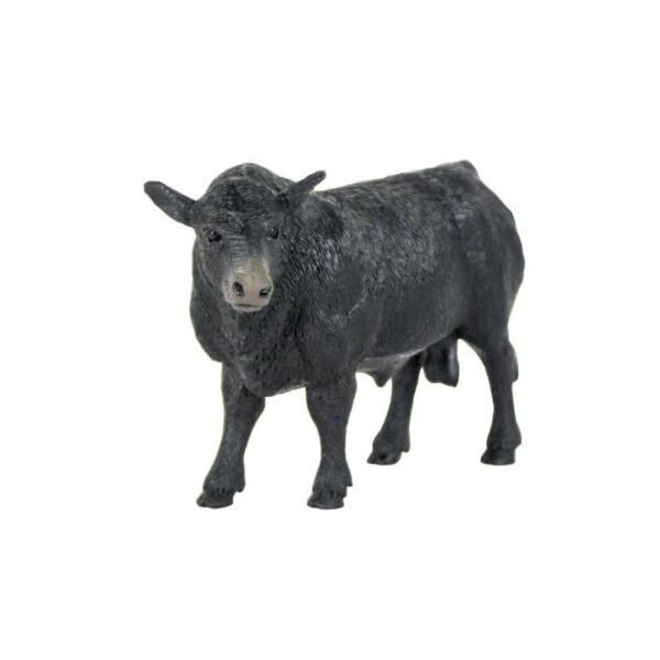 Angus Bull - Image 2