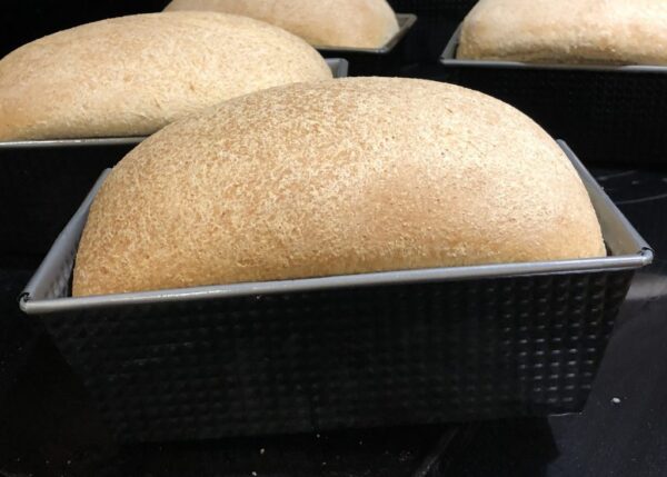 Dough Enhancer 16 oz - Image 2