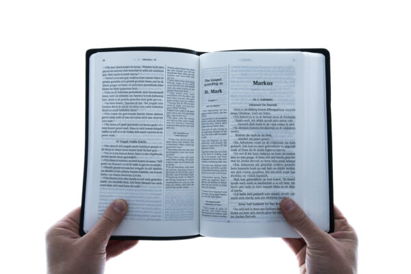 Bible NT & Psalms Pennsylvania Dutch - Image 3