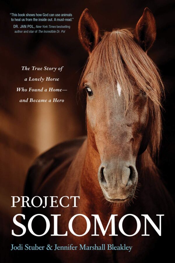 Project Solomon - Lonely Horse
