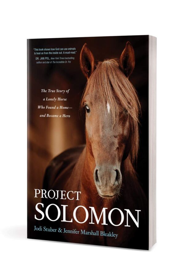 Project Solomon - Lonely Horse - Image 2