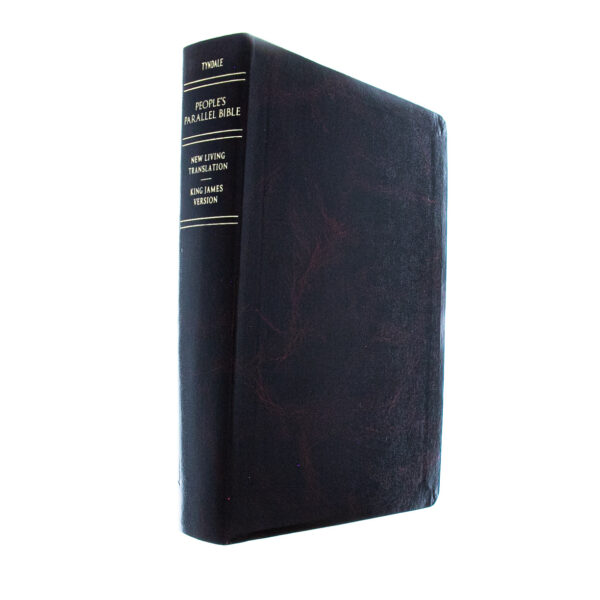 KJV/NLT People's Parallel Bible-Burgundy Imitation Leather - Image 3
