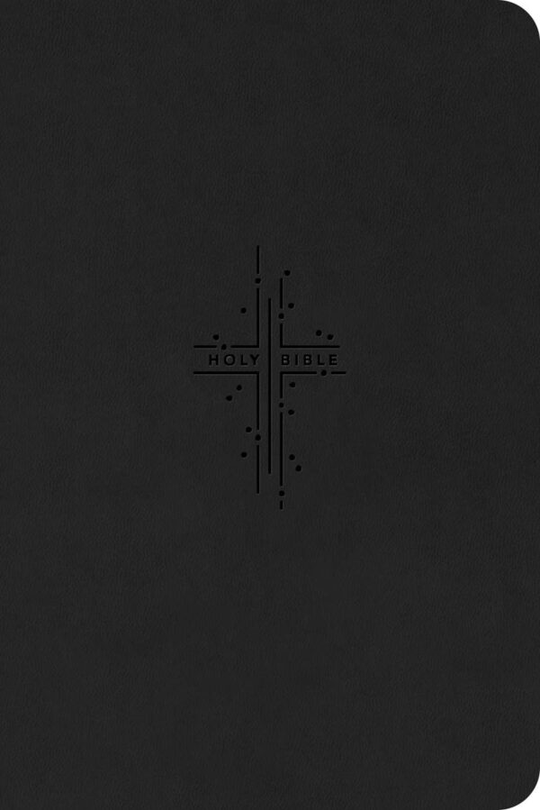 KJV Premium Value Thinline Bible, Filament - Image 2