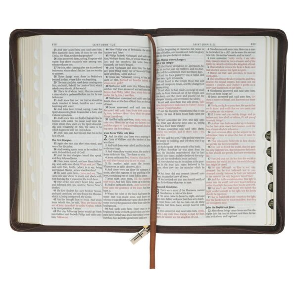 KJV Bible Deluxe Gift Faux Leather Amazing Grace, Two-tone w/zipper  Isa. 53:5 - Image 3