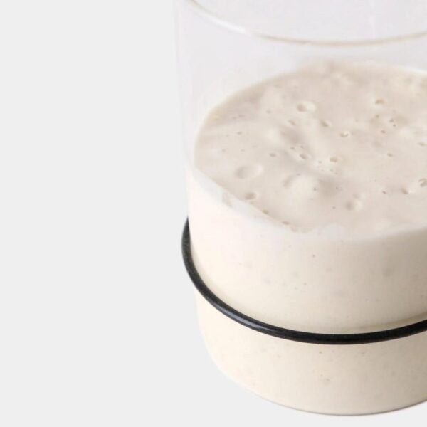 Breadtopia Sourdough Starter Jar - Image 2