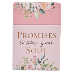 Image of Box of Blessings Promises to Bless Your Soul