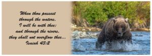 Image of Bear Bookmark